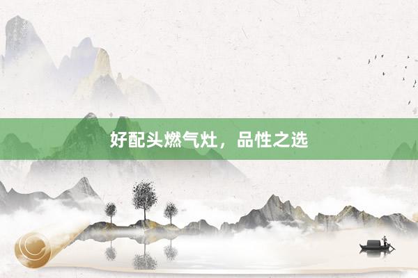好配头燃气灶，品性之选